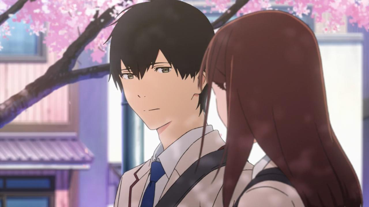 Kimi no Suizou wo Tabetai (Anarchy Subs)